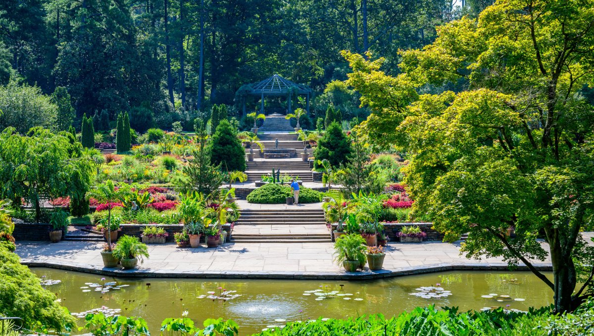 Things to Do in Spring in North Carolina March, April, May